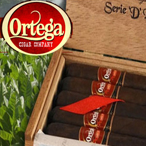 Ortega Serie D Maduro Cigars 5 Packs