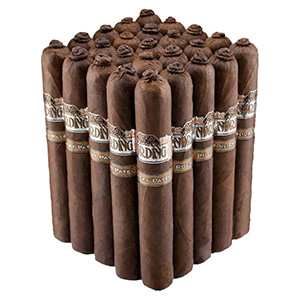 Nording Robusto 5 Pack