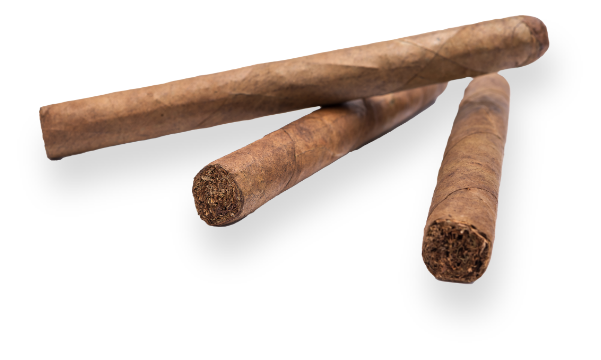 La Fontana Michelangelo Cigars | Tobacco Locker