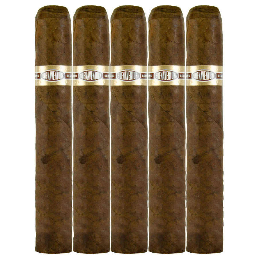 Curivari Buenaventura Maduro BV 600, 6 x 60 Cigars 5 Pack