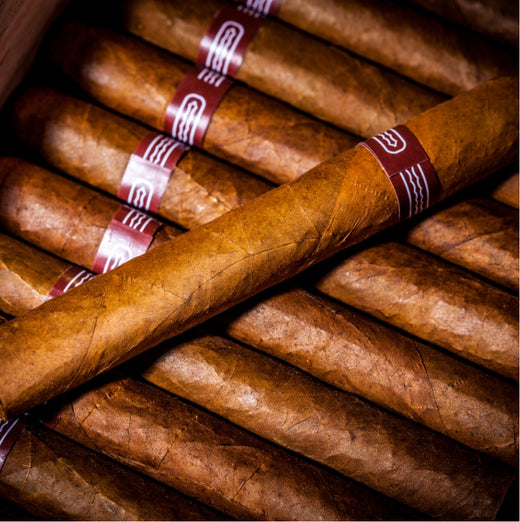 La Flor Dominicana DL660 Natural Cigars Tobacco Locker