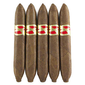 Avion 12 Short Perfecto 5 Pack