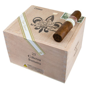 Tatuaje Cohetes Sumatra Cigars