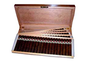 Padron Millennium Edition Humidor with Cigars