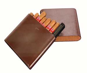 Brown Leather 10 Cigar Case