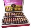 Arturo Fuente Rare Pink Queen of Hearts Cigars