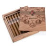 AVO Expressions 2024 Cigars