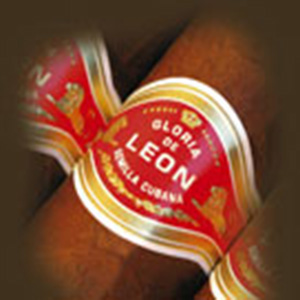 Curivari Gloria De Leon Cigars 5 Packs