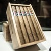 Surrogates Satin Gloves Cigars