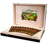Oliva Serie V 135th Anniversary Cigars